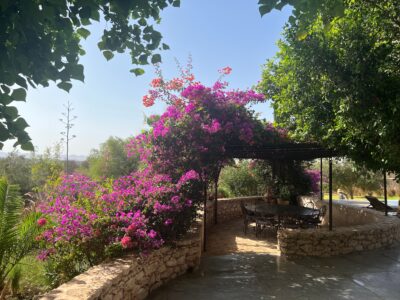 Bab bella Villa piscine Essaouira Maroc